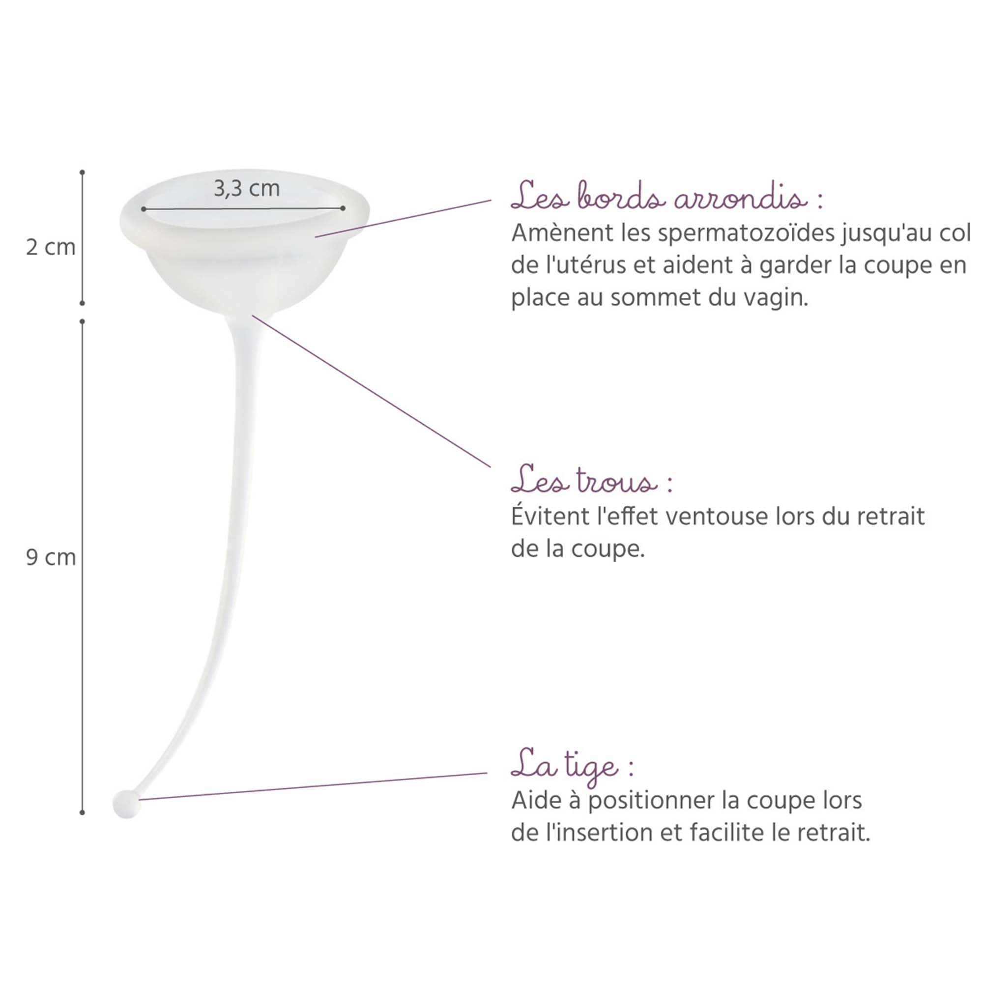 description de la coupe de conception